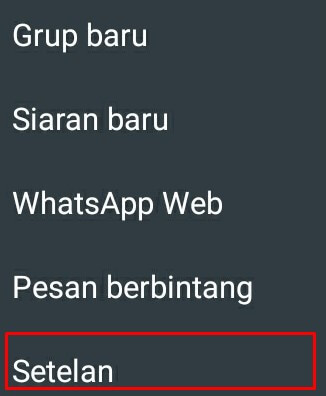 status whatsapp tanpa diketahui