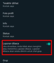 status whatsapp tanpa diketahui