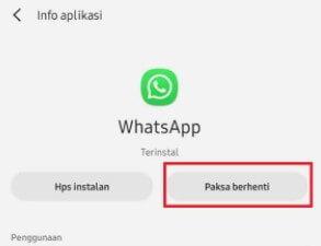 cara menonaktifkan whatsapp